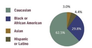 Chart Chesapeake Population by race