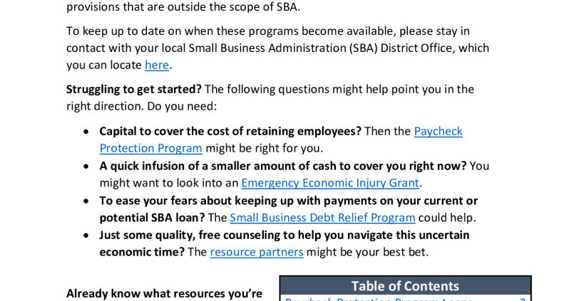 thumbnail of Small Business Owner Guide_CARES Act