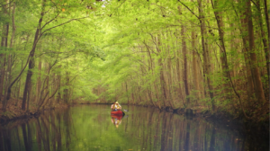 Photo of canoe floating down canal