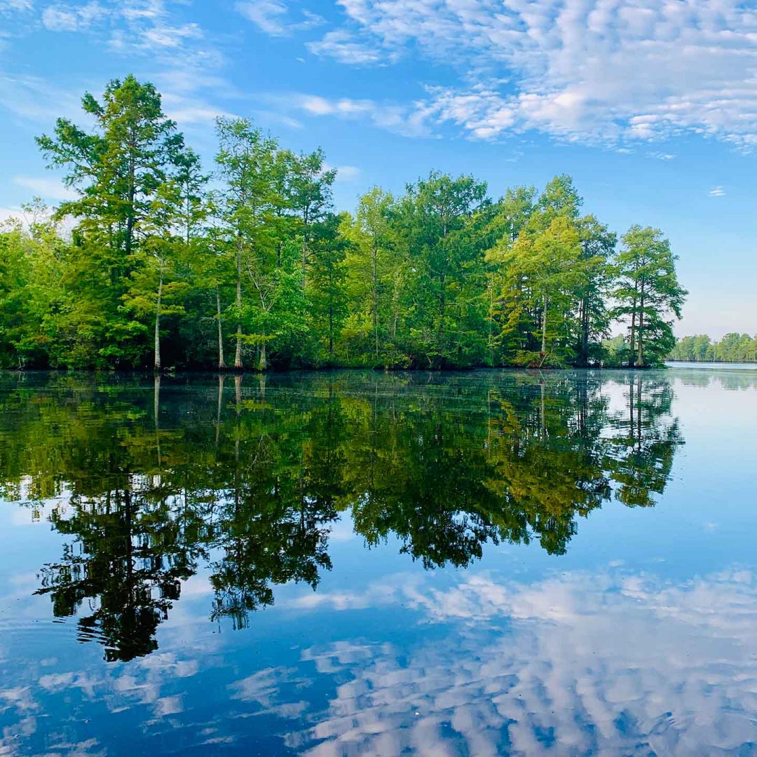 Northwest River Reflection Of Trees Sky From Boat | Chesapeake Economic Development