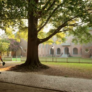 College of William and Mary Campus | Education | Life In Chesapeake